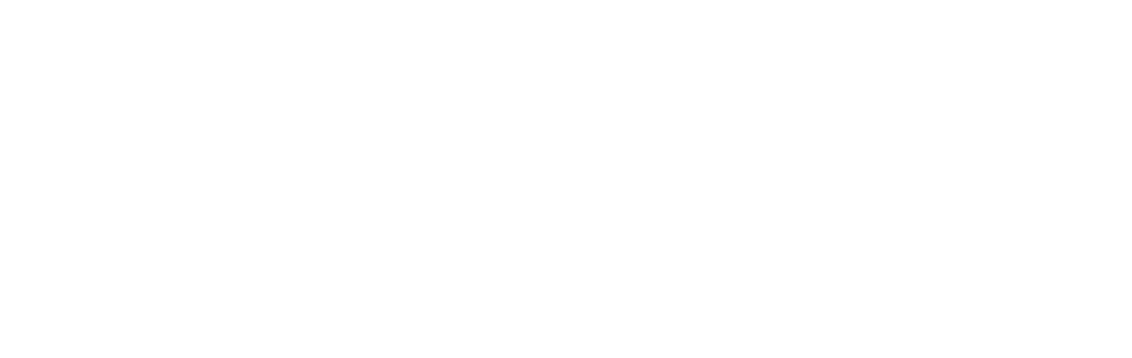 logo footer